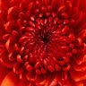 Heather Talbot Photo 6