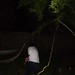 Danny Mathias Photo 17