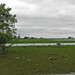 Rosario Verde Photo 7