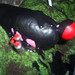 Melvin Fernandez Photo 15