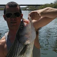 Justin Elrod Photo 7