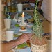 Rosemary Ware Photo 17