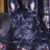 Nancy Plunkett Photo 17