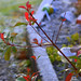 Sandra Winters Photo 19