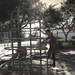 Debra Story Photo 16