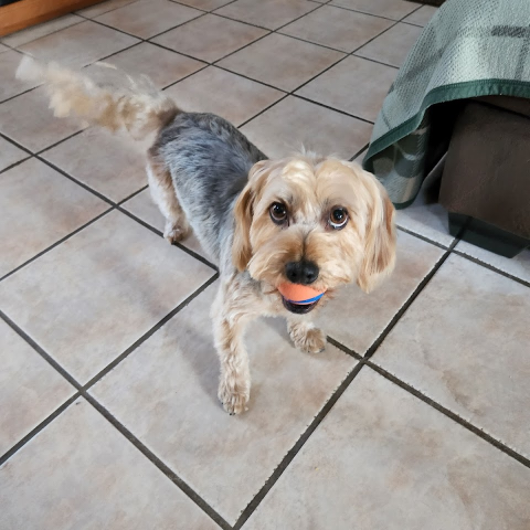 Barbara Overstreet Photo 40