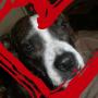 Melissa Robison Photo 27