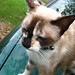 Johnny Pew Photo 13