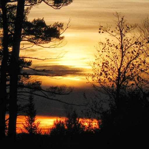 Sally Thompson Photo 32