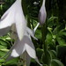 Brenda Boyd Photo 15