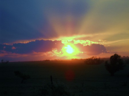 Cindy Younger Photo 19