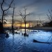 Connie Sands Photo 24