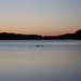 Dawn Burke Photo 17