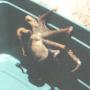 Scott Clayton Photo 7