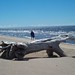 Lawrence Cote Photo 5