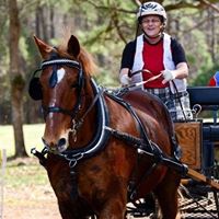 Debra Dangelo Photo 3