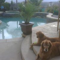 Vicki Shepard Photo 15