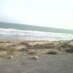 Syed Zafar Photo 37