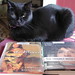 Cynthia Read Photo 16