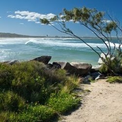 Catherine Johnston Photo 8