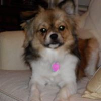 Marlene Hubbard Photo 5