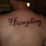 Nathan Humphrey Photo 38