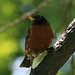 Robin Mcclain Photo 23