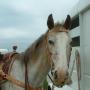 Kimberly Buck Photo 13