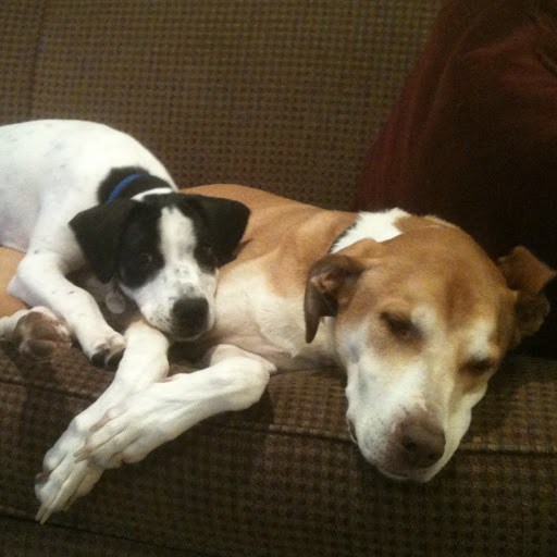Linda Hartsough Photo 2