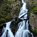 Rodney Spring Photo 4