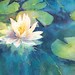 Julie Pollard Photo 18