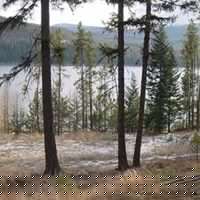 Richard Mcclung Photo 36