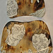 Karla Barney Photo 9