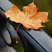 Terry Fritz Photo 16
