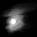 Judith Hunter Photo 35