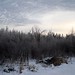 Jeff Winters Photo 10