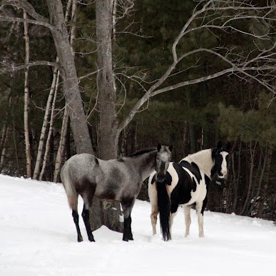 Cheryl Leonard Photo 34