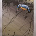 Allen Small Photo 4