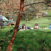 Lisa Mayo Photo 38