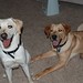 Dusty Gardner Photo 16