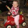 Scott Tripp Photo 15