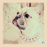 Sharon Little Photo 29