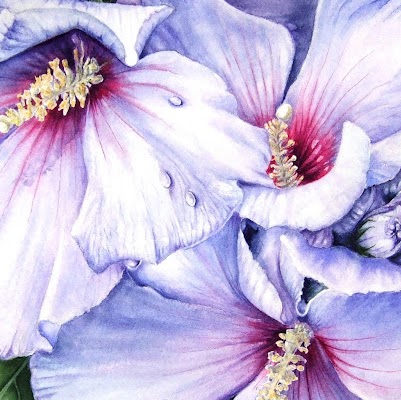 Sue Durrant Photo 5