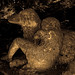 Fredrick Moss Photo 6