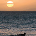 Steve Fitzpatrick Photo 13