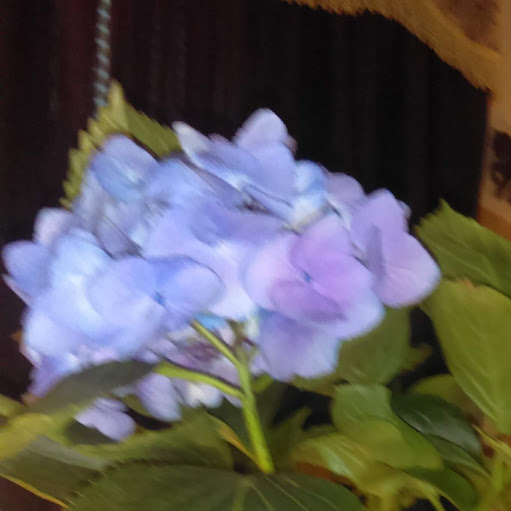 Gwen Williams Photo 28