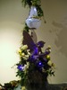 Dale Shaw Photo 9