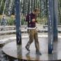 Dennis Lauer Photo 13