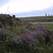 Heather Stone Photo 21