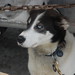Joanne Mackey Photo 23